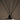 Reed Diffusers