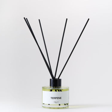 Terpene Reed Diffuser – ก้านไม้หอมกลิ่นเขียวเอิร์ธตี้ โดย Vibes Lab