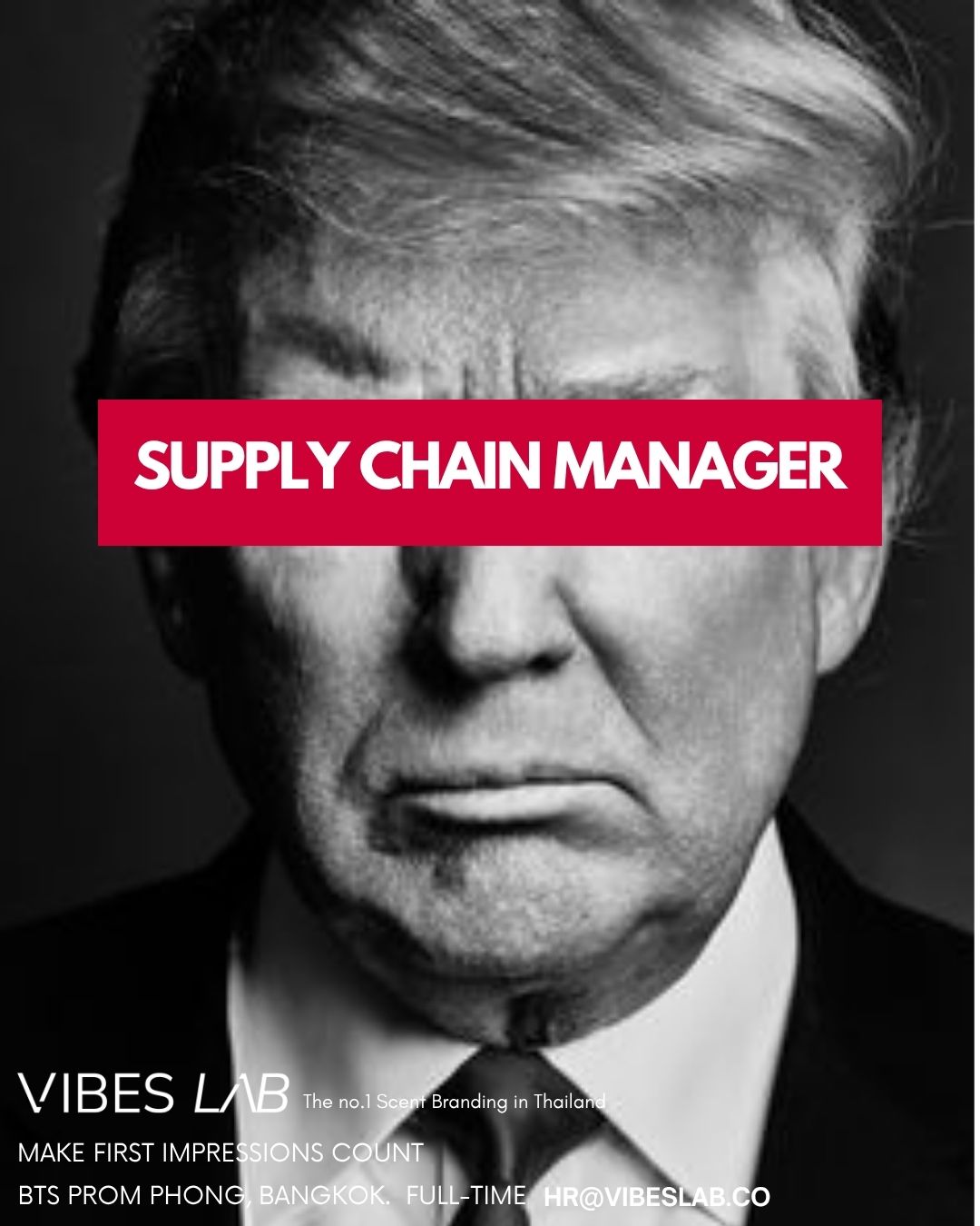 Supply Chain Manager — Vibes Lab